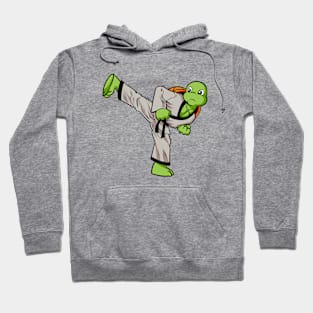 Cartoon turtle doing hapkido Hoodie